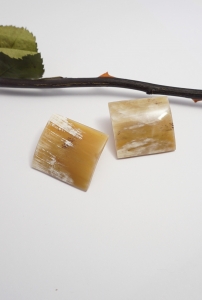 Pendientes asta africana.Realizados en plata de primera ley, montados con asta o cuerno africano natural. Originales y exclusivos.